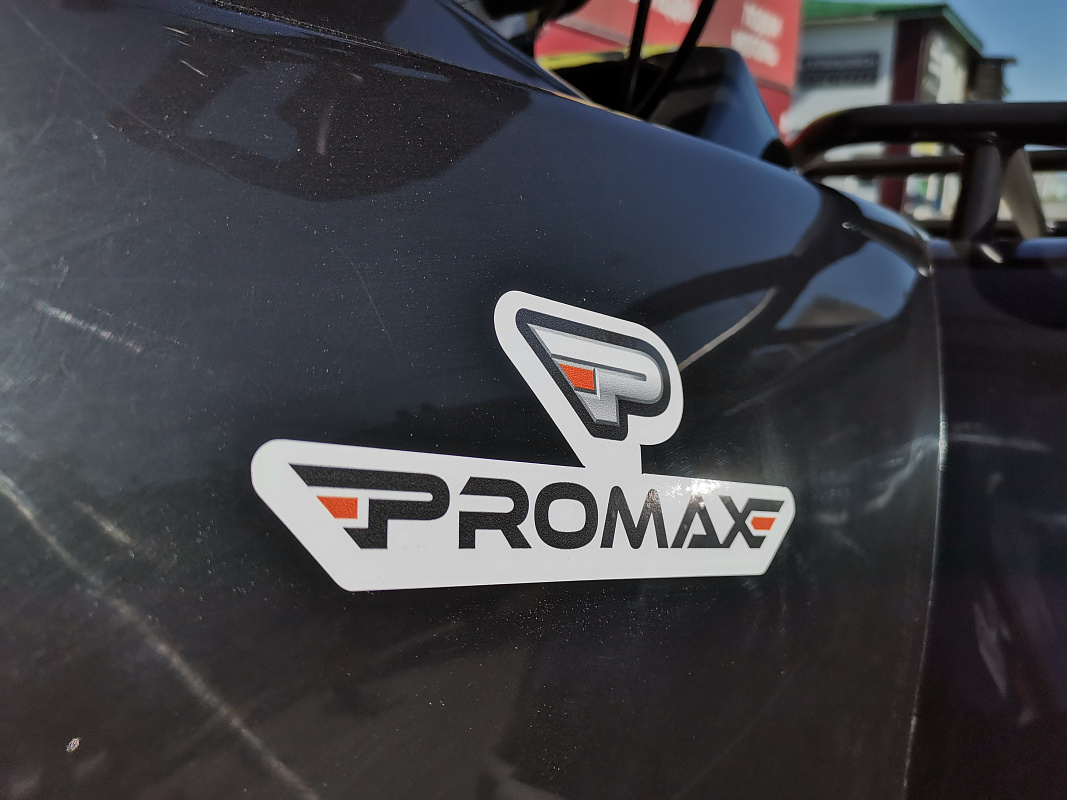 Квадроцикл PROMAX TRX300 CVT