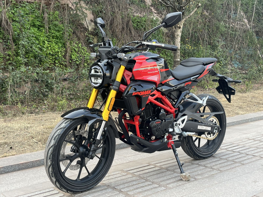 Мотоцикл PROMAX CB300 EFI Мотоцикл PROMAX CB300 EFI