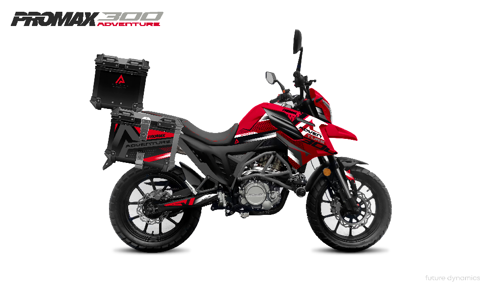 Мотоцикл PROMAX ADVENTURE 300 PRO EFI (NB300)