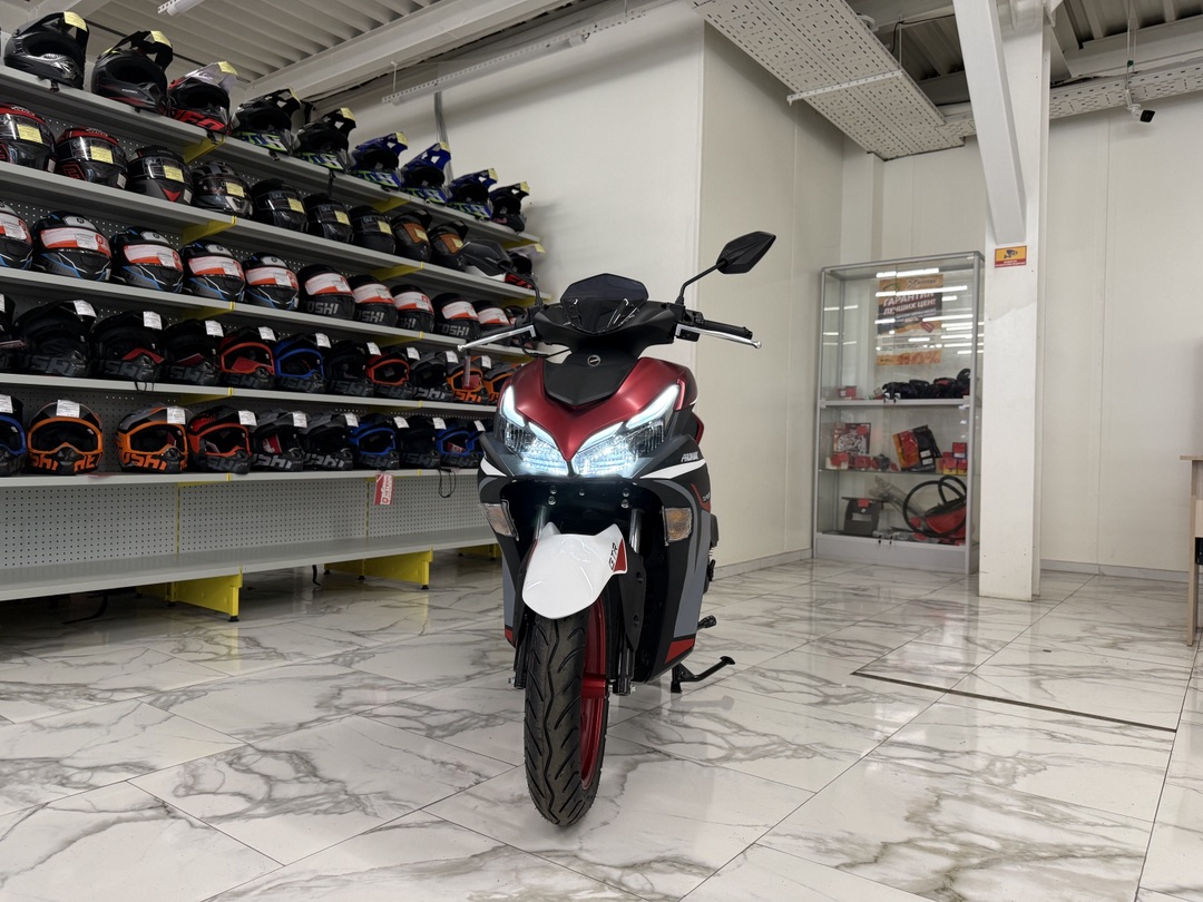 Скутер PROMAX TURAN 250 (49)