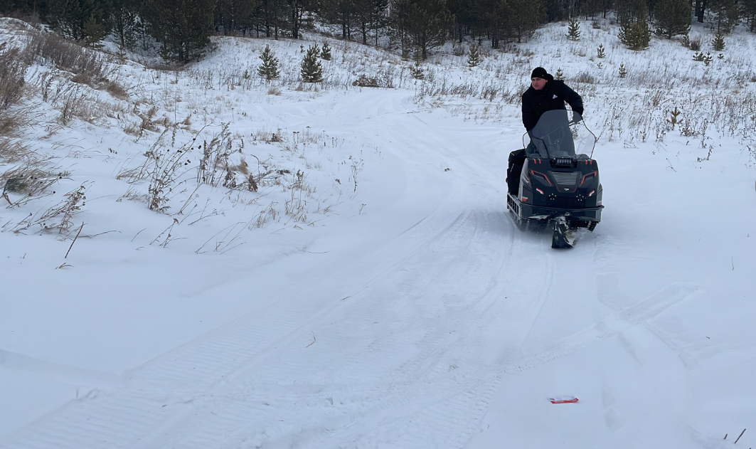 Снегоход Promax Snowbear V3 800 4T PRO