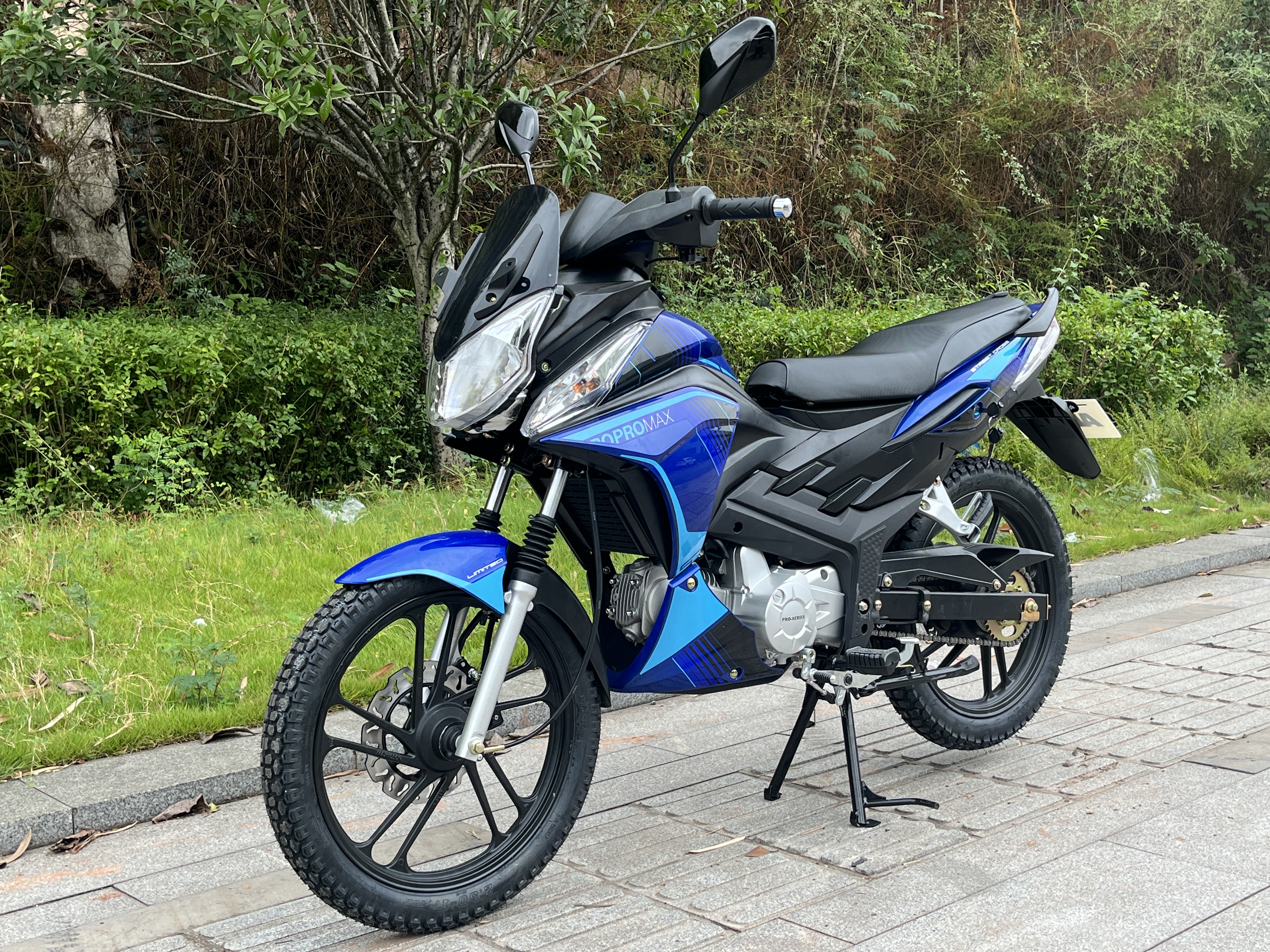 Мопед PROMAX STREET CROSS MAX 150 (49)