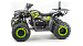 Квадроцикл Promax Wild 300 LUX