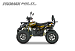 Квадроцикл PROMAX WILD 2.0 190 PRO